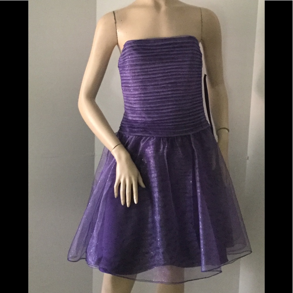 C.W. Designs Purple Party Tween /Junior Dress